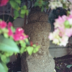 img016-1.jpg