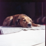 img018.jpg